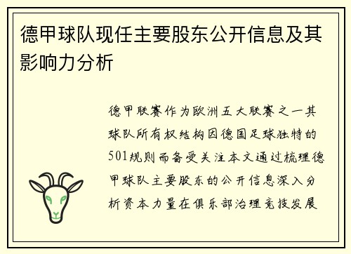 德甲球队现任主要股东公开信息及其影响力分析